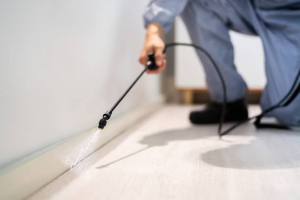 Licensed Pest Control service in Buna, TX - Show Me Pest Control