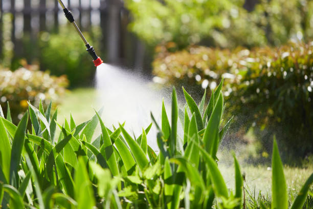 24/7 Emergency Wasp Removal experts in Buna, TX